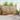 Set de canapele de exterior 8 buc. natural