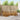 Set de canapele de exterior 6 buc. natural