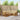 Set de canapele de exterior 6 buc. natural