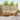 Set de canapele de exterior 6 buc. natural