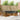Set de canapele de exterior 6 buc. Natural și Antracit