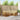 Set de canapele de exterior 6 buc. natural