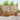 Set de canapele de exterior 6 buc. natural