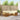 Set de canapele de exterior 6 buc. Natural și Crem
