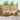 Set de canapele de exterior 6 buc. natural