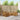 Set de canapele de exterior 6 buc. natural