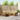 Set de canapele de exterior 6 buc. natural