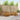 Set de canapele de exterior 6 buc. natural