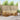 Set de canapele de exterior 6 buc. natural