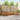 Set de canapele de exterior 7 buc. natural
