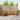 Set de canapele de exterior 7 buc. natural