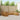 Set de canapele de exterior 9 buc. natural