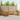 Set de canapele de exterior 9 buc. natural