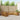 Set de canapele de exterior 9 buc. natural
