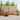 Set de canapele de exterior 9 buc. natural