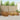 Set de canapele de exterior 10 buc. natural