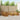 Set de canapele de exterior 10 buc. natural