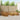 Set de canapele de exterior 10 buc. natural