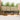 Set de canapele de exterior 11 buc. Natural și Antracit