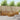 Set de canapele de exterior 5 buc. natural Lemn Solid de Acacia