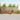Set de canapele de exterior 8 buc. natural Lemn Solid de Acacia