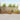 Set de canapele de exterior 8 buc. natural Lemn Solid de Acacia