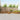 Set de canapele de exterior 9 buc. natural Lemn Solid de Acacia