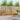 Set de canapele de exterior 4 buc. natural Lemn Solid de Acacia