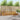 Set de canapele de exterior 4 buc. natural Lemn Solid de Acacia