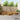 Set de canapele de exterior 6 buc. natural Lemn Solid de Acacia