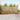 Set de canapele de exterior 6 buc. natural