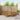 Set de canapele de exterior 7 buc. natural Lemn Solid de Acacia