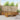 Set de canapele de exterior 7 buc. natural Lemn Solid de Acacia
