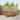 Set de canapele de exterior 7 buc. natural Lemn Solid de Acacia