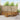 Set de canapele de exterior 7 buc. natural Lemn Solid de Acacia