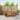 Set de canapele de exterior 7 buc. natural Lemn Solid de Acacia