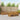 Set de canapele de exterior 8 buc. natural Lemn Solid de Acacia