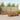 Set de canapele de exterior 8 buc. natural Lemn Solid de Acacia