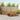 Set de canapele de exterior 9 buc. natural Lemn Solid de Acacia
