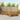 Set de canapele de exterior 9 buc. natural Lemn Solid de Acacia