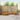 Set de canapele de exterior 6 buc. natural Lemn Solid de Acacia