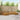 Set de canapele de exterior 6 buc. natural Lemn Solid de Acacia