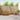 Set de canapele de exterior 6 buc. natural Lemn Solid de Acacia