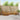 Set de canapele de exterior 6 buc. natural Lemn Solid de Acacia