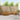 Set de canapele de exterior 6 buc. natural Lemn Solid de Acacia