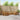 Set de canapele de exterior 6 buc. natural Lemn Solid de Acacia