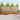 Set de canapele de exterior 7 buc. natural Lemn Solid de Acacia