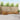 Set de canapele de exterior 7 buc. natural Lemn Solid de Acacia