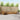 Set de canapele de exterior 7 buc. natural Lemn Solid de Acacia