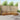 5 buc. Set de canapele de exterior Lemn Solid de Acacia natural